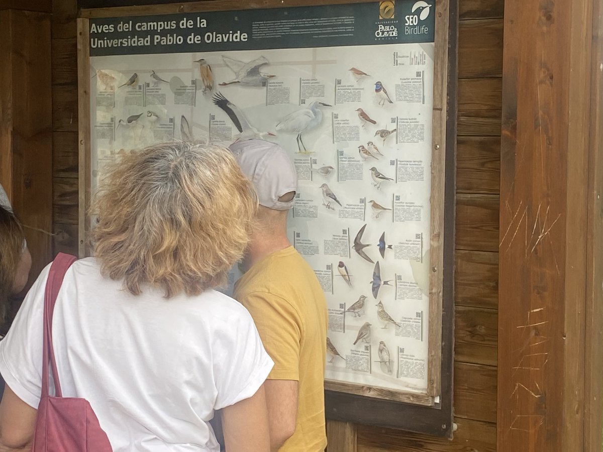 Emma M S Asesora CT (@emmacepsevilla) on Twitter photo Magnífica práctica de campo con <a href="/BioJairo/">Jairo Robla</a> en el curso Reconectamos con el medio natural en entornos urbanos <a href="/CEPdeSevilla/">CEP de Sevilla</a> Magnífica práctica de campo con <a href="/BioJairo/">Jairo Robla</a> en el curso Reconectamos con el medio natural en entornos urbanos <a href="/CEPdeSevilla/">CEP de Sevilla</a>