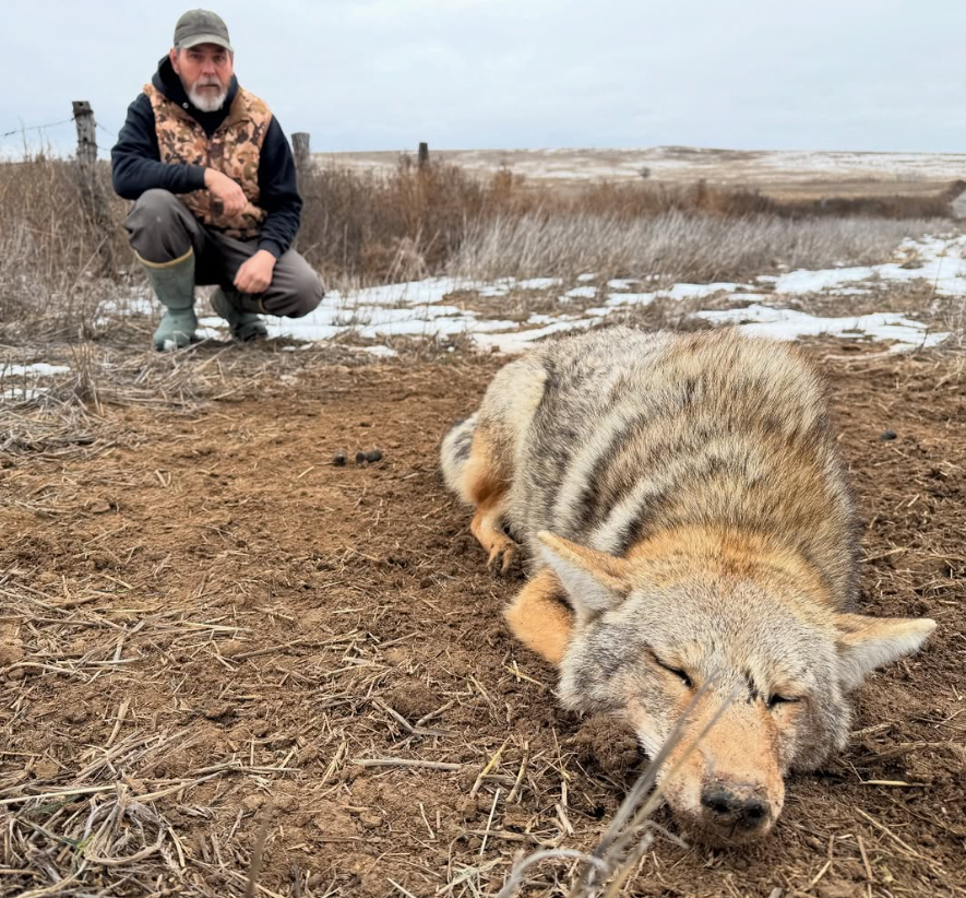 NHCART's tweet photo. Depressing...

#BanTrapping #TheConservationLie #Coexist https://t.co/Swxfm6wZlH
