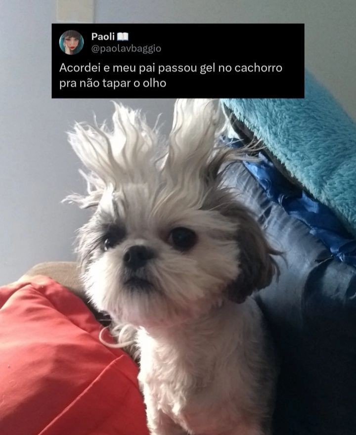 memes pra quem tem baixa autoestima  (@autoestimaposts) on Twitter photo 