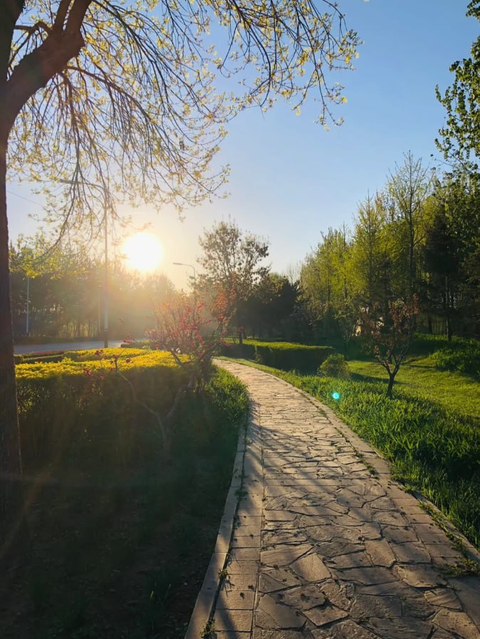 Jamicsxhens's tweet photo. At this moment, the sun has awakened, and all beautiful things are on the way to blooming https://t.co/8NIkZ3nG2C