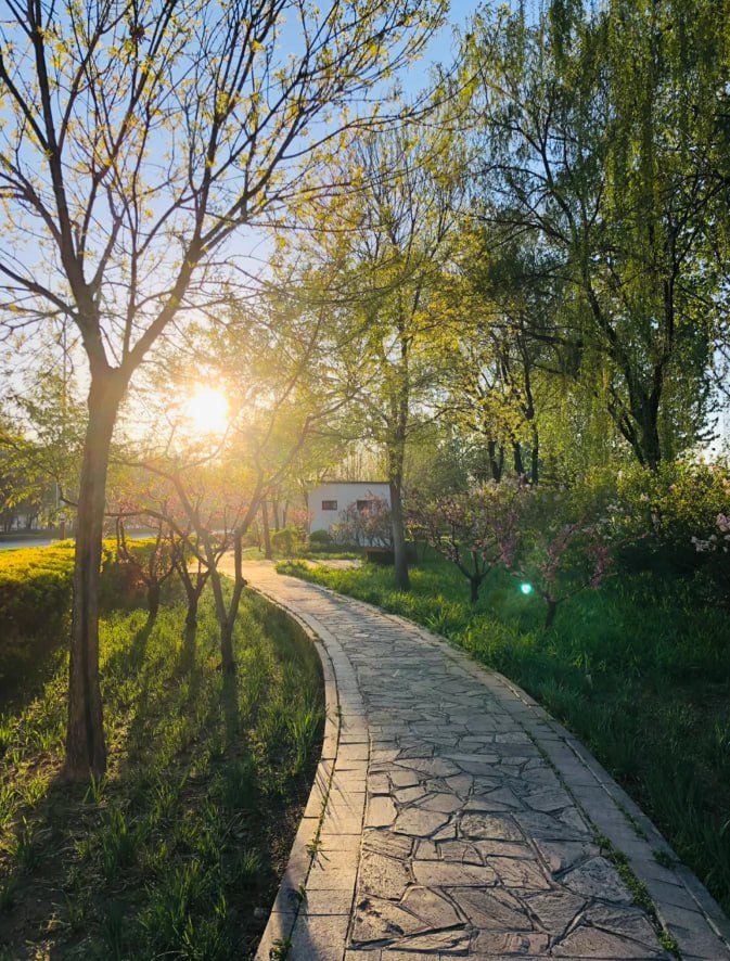 Jamicsxhens's tweet photo. At this moment, the sun has awakened, and all beautiful things are on the way to blooming https://t.co/8NIkZ3nG2C