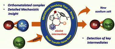 aromcl_lab's tweet photo. Our recent work 'Alkene-promoted NHC ligand substitution in orthometalated Ru–NHC complexes via σ-bond metathesis: a mechanistic insight' published @ChemCommun 😃! Congratulations Arya and Somnath for the amazing work. Thanks to @iitmadras for funding 🙏 
https://t.co/nPR8CM7SIY https://t.co/318t0BOtUs