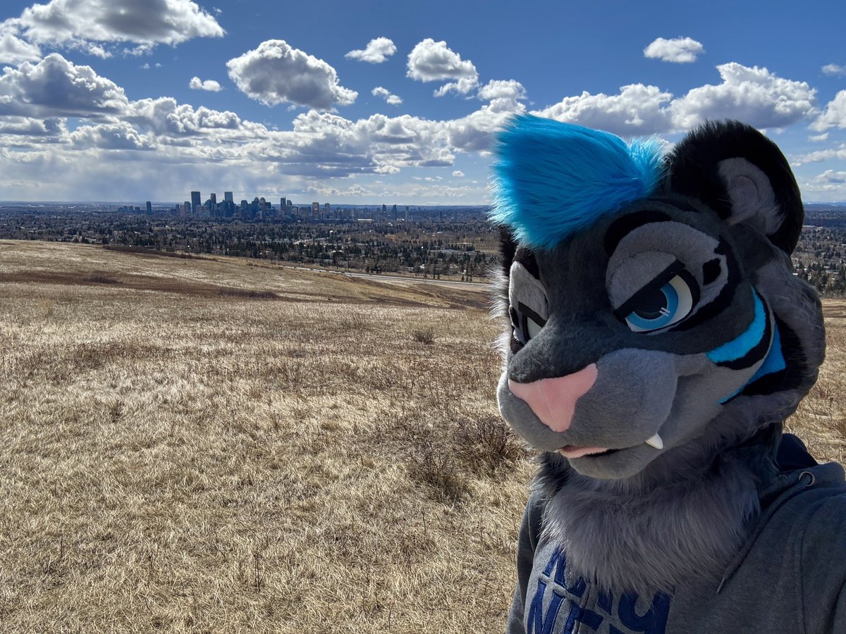 Can I present you, the new Tiger in the Block! MEOW! 🐯 

Thank you <a href="/WildDogWorks/">WildDogWorks.com on 🦋</a> to bring this bad boy to life, the quality of your Work is freaking amazing!

*begins a Catfight with <a href="/CaidaTigre/">CaidaTigre</a>*