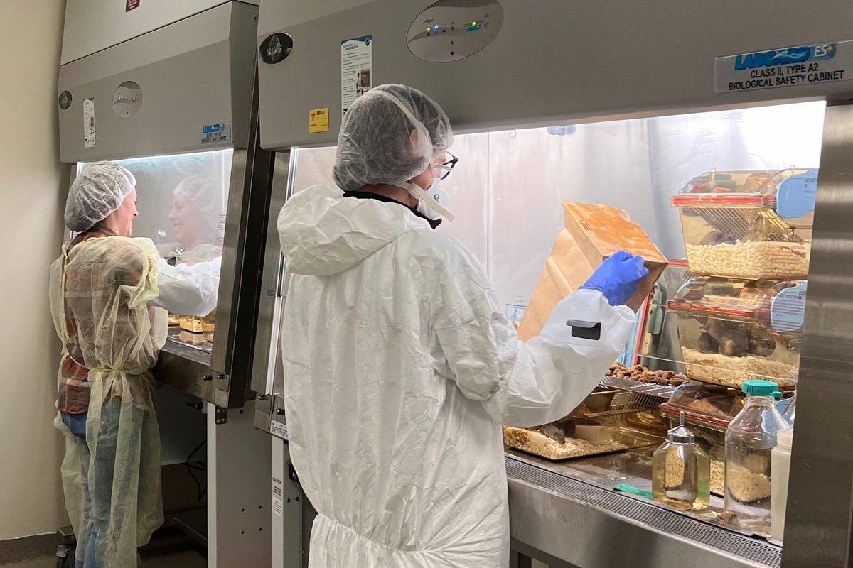 Product Manager (@labbottles) on Twitter photo DURAN® Autoclave Bottle with self-venting & self-sealing green rubber (Order 219946305 / 292063002) in use at the Gnotobiotic Core Facility <a href="/UUtah/">University of Utah</a>
Salt Lake City, UT 84112
magic.path.utah.edu/resources DURAN® Autoclave Bottle with self-venting & self-sealing green rubber (Order 219946305 / 292063002) in use at the Gnotobiotic Core Facility <a href="/UUtah/">University of Utah</a>
Salt Lake City, UT 84112
magic.path.utah.edu/resources