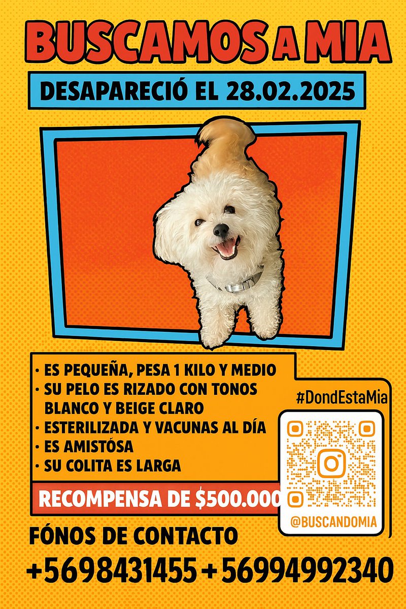 buscandomia's tweet photo. Ayúdanos a compartir , seguimos buscando a MIA, si tienes algún dato o la estás reteniendo, te pedimos nos contactes, la queremos de vuelta #iquique #AltoHospicio #chile #ayuda #mascotaperdida #animalista #Instagram https://t.co/uxoRbLXRj1
