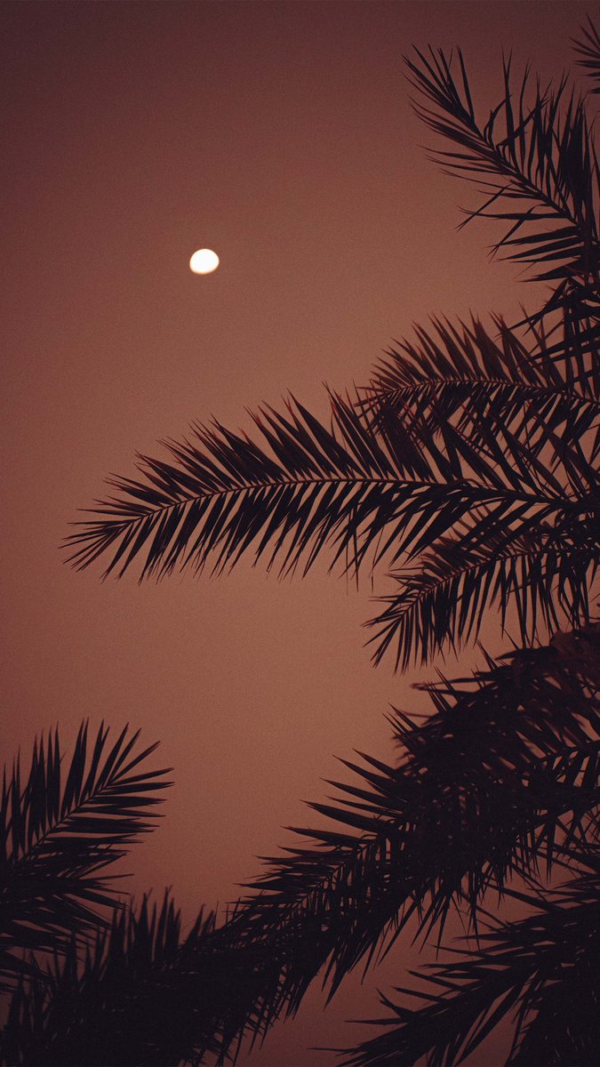 Jason Vian tweet media