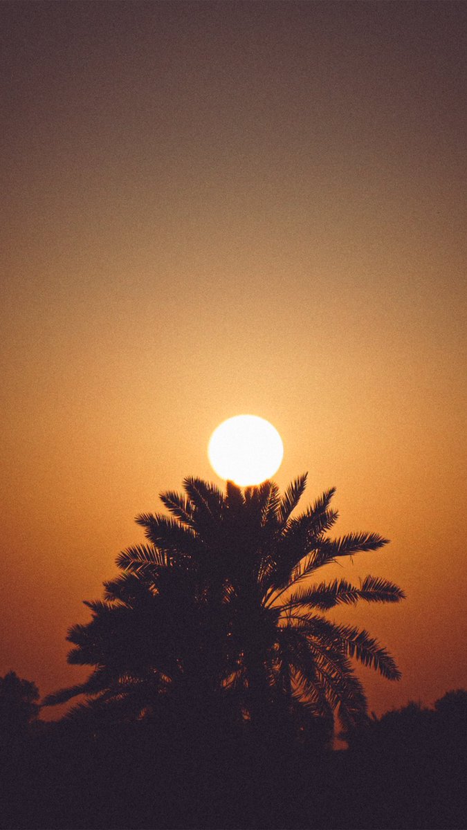 Jason Vian tweet media