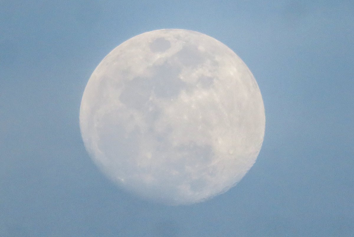 trhonymohamed's tweet photo. Waxing Gibbous Moon with an illumination of 96%. 

Thursday, April 10, 2025. https://t.co/954rMe4lgi