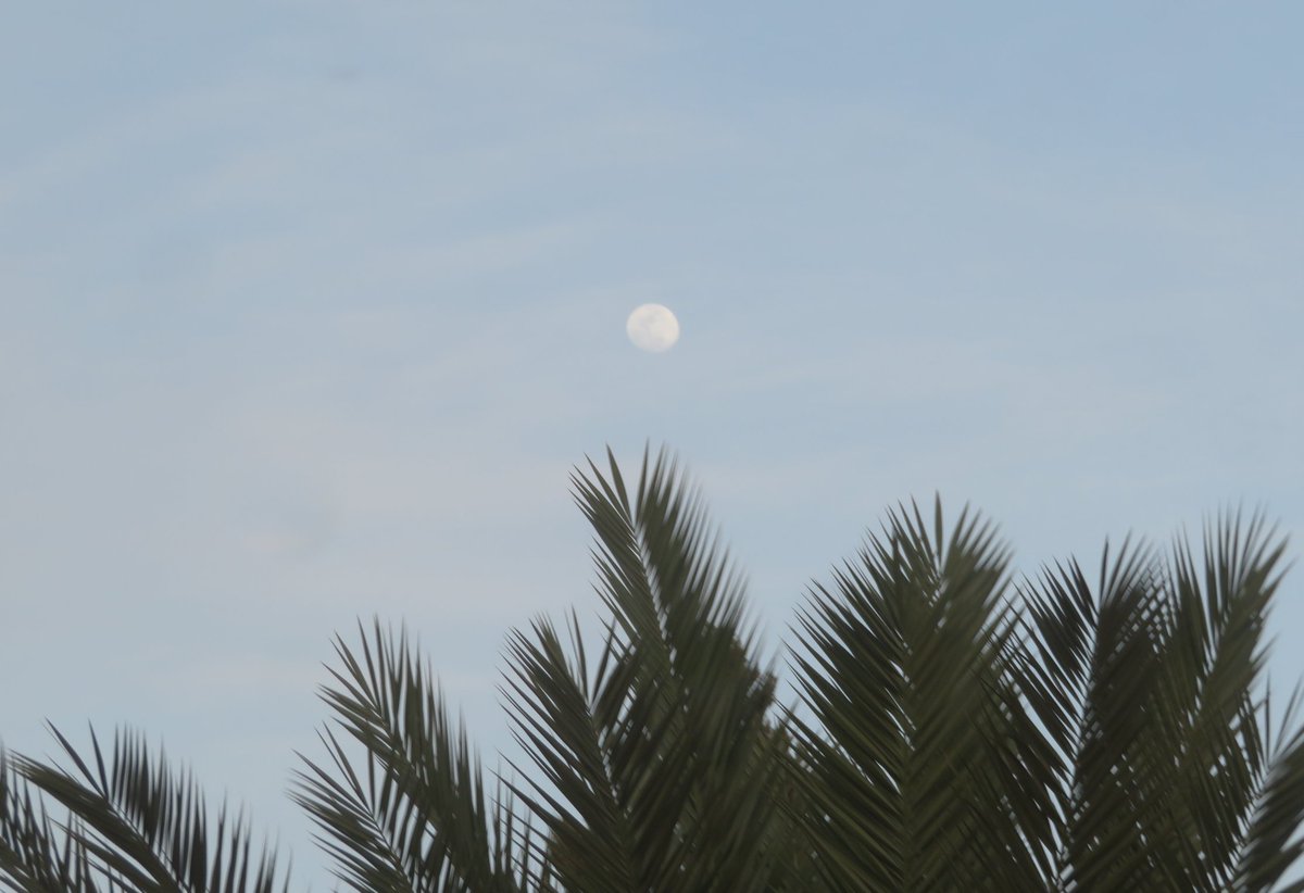 trhonymohamed's tweet photo. Waxing Gibbous Moon with an illumination of 96%. 

Thursday, April 10, 2025. https://t.co/954rMe4lgi