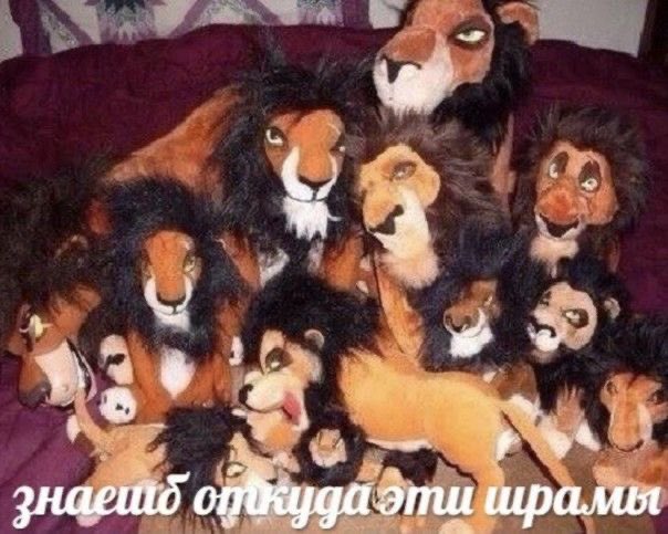 drsy10WSbjZ3Sho's tweet image. Скиньте мем с которого вас дико разъёбывает пожалуйста