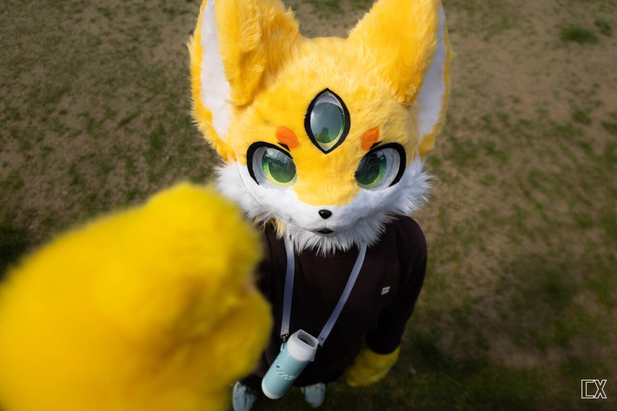 柠檬狐鬼饕 tweet media