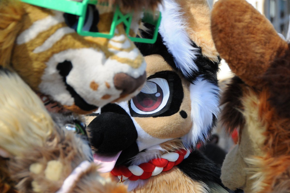 I think I'm being watched 👀