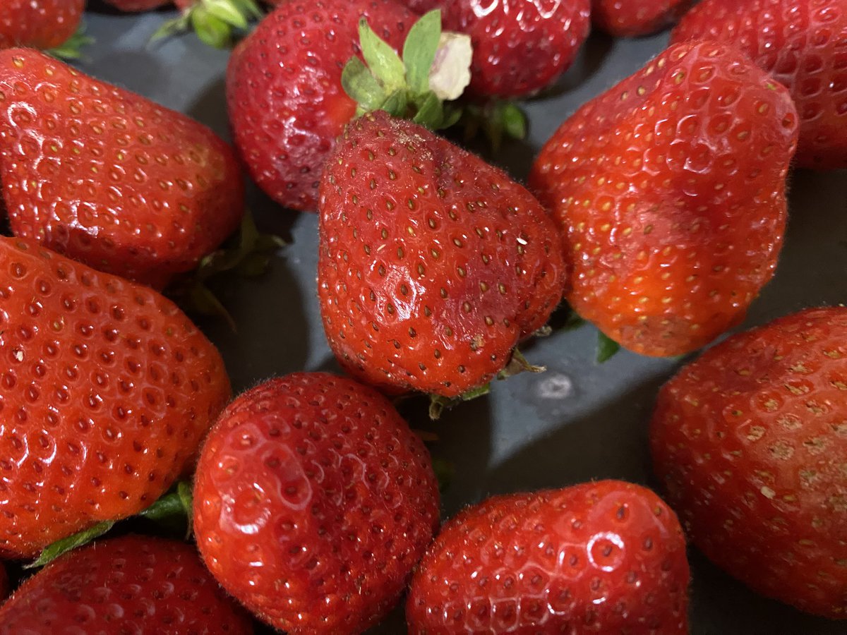 Hoy hemos comprado fresas y cuando hemos cogido las de encima han aparecido las de abajo así😔 <a href="/bonpreuesclat/">Supermercats Bonpreu i Esclat</a> no es la primera vez que nos pasa…