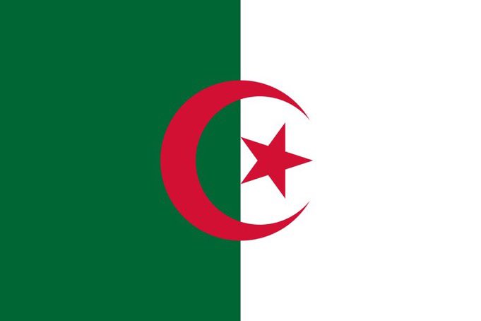 Wolf 🐺 tweet media