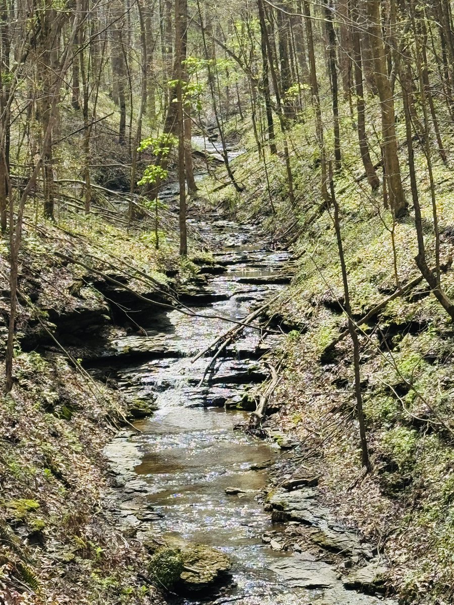 Heaven must be a Kentucky kind of place 
-Daniel Boone