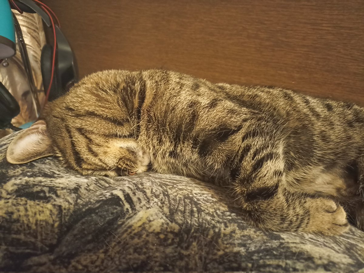 Тест "Найди меня". Правда хорошо замаскировалась? 

Ваша Кася