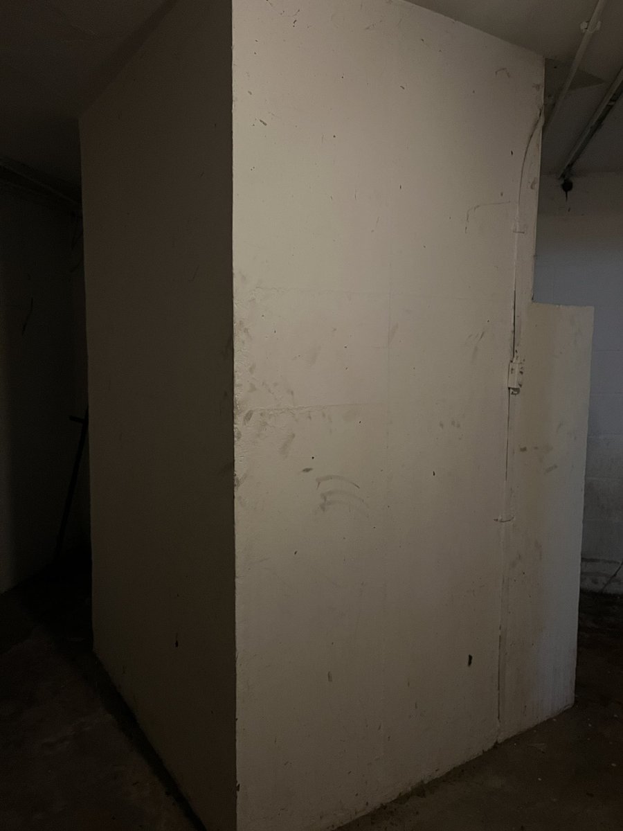 cy / sal sun 🐚 tweet media