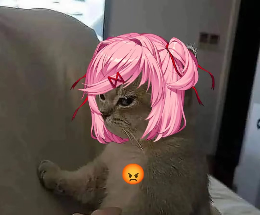 hemrai0's tweet photo. CatNat is angry ๐ก๐ข ๐ข๐ก
#ddlc #natsuki #cat #catangry #ddlcnatsuki
original picture : https://t.co/a4Yi9MwHVR https://t.co/ik7rXxv1Ir