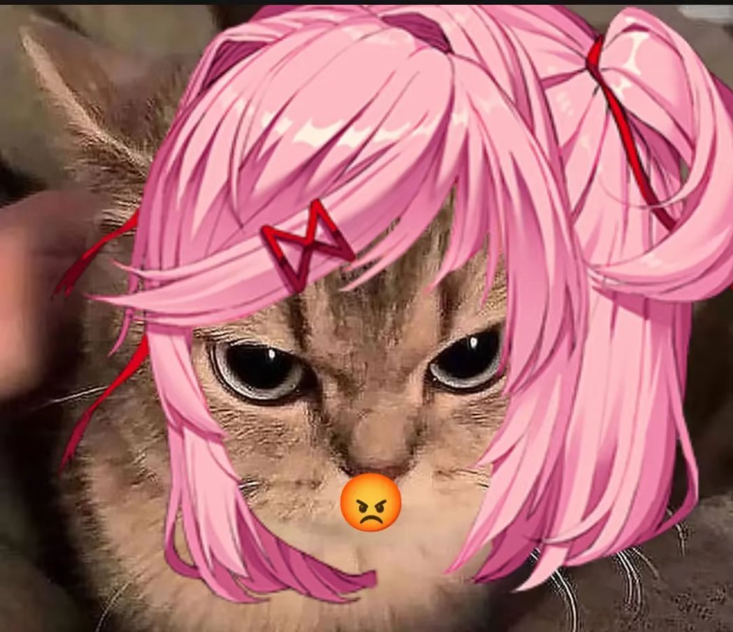 hemrai0's tweet photo. CatNat is angry ๐ก๐ข ๐ข๐ก
#ddlc #natsuki #cat #catangry #ddlcnatsuki
original picture : https://t.co/a4Yi9MwHVR https://t.co/ik7rXxv1Ir