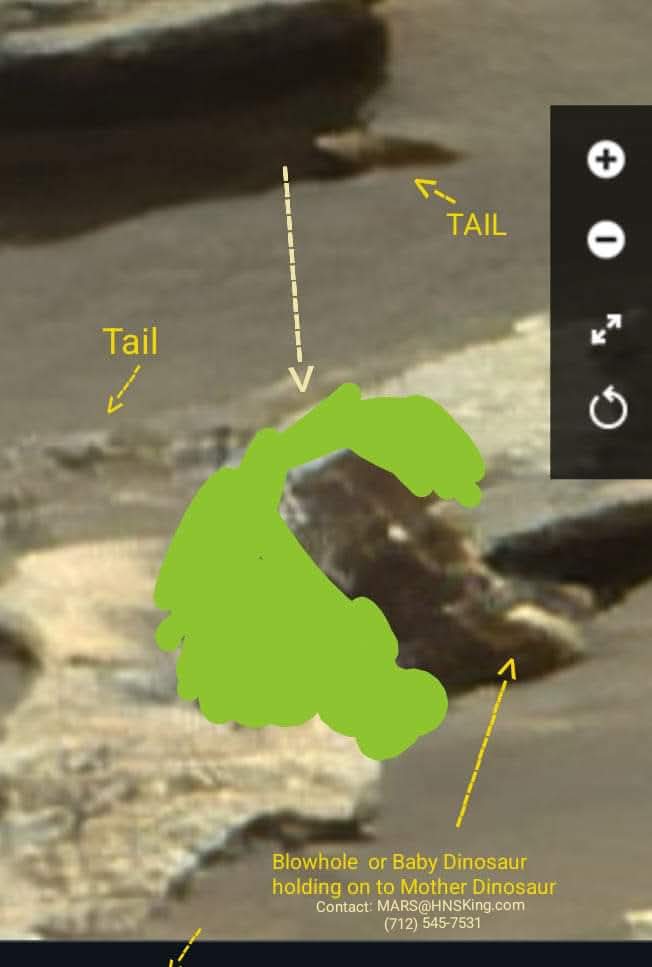 MarsLifeForms's tweet image. They just Brought back the Dire Wolf, &amp;amp; They are Actually Bringing Dinosaurs back Now as well. DINOSAURS are on Mars  too, so it will be Easy for Dinosaur Deextinction!!!!!!