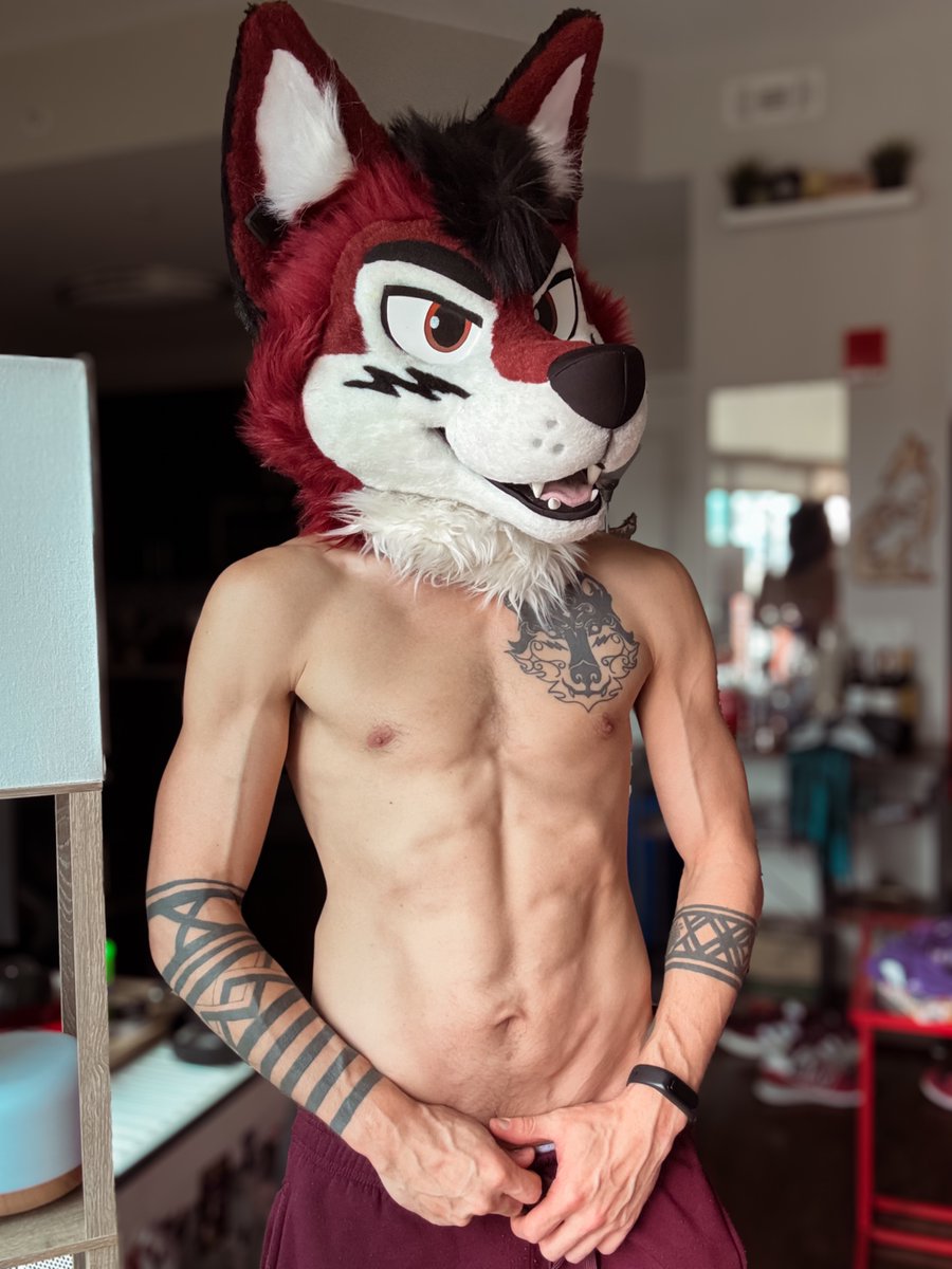 Content from wolf_ezo
