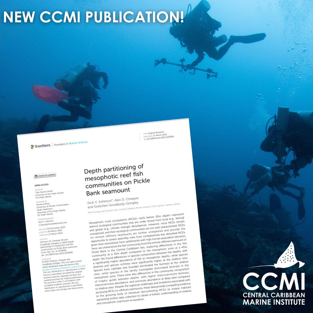 CCMI (@reefresearch) on Twitter photo 🚨PUBLICATION ALERT!
The results of CCMI scientists' fish community research at Pickle Bank has been published in the journal Coral Reefs!
Read more here: doi.org/10.3389/fmars.…
This work was funded by the UK Government's Darwin+ Programme and an anonymous donor.
<a href="/UKBCFs/">Biodiversity Challenge Funds</a> 🚨PUBLICATION ALERT!
The results of CCMI scientists' fish community research at Pickle Bank has been published in the journal Coral Reefs!
Read more here: doi.org/10.3389/fmars.…
This work was funded by the UK Government's Darwin+ Programme and an anonymous donor.
<a href="/UKBCFs/">Biodiversity Challenge Funds</a>
