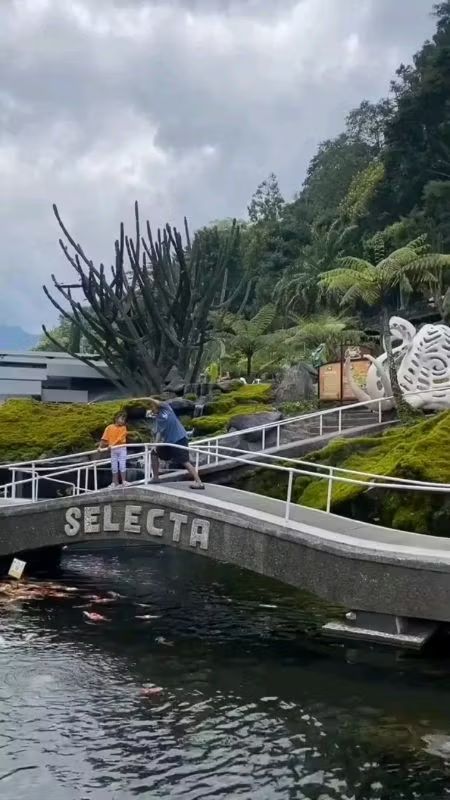 GusmoChanel's tweet photo. Ayo, lihat videoku di Shopee Video!  https://t.co/4WDKjpL5Yv https://t.co/rn6K1bNVMe
