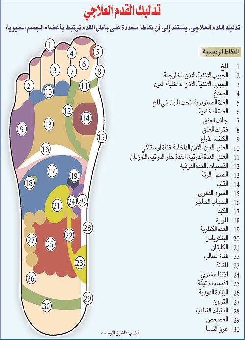 دلع نفسك واطلب جلسة  مساج استرخائي بالزيوت الطبيعيه الخاصه  بالمساج للي يبي يجي خاص 
#مساج_استرخاء

#مساج_جدة