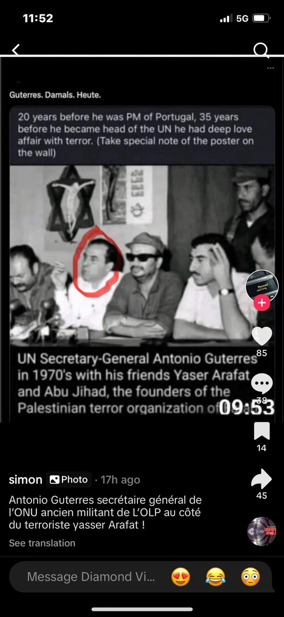 RUBINtheDOG 🇮🇱 🎗️#UTAG tweet media