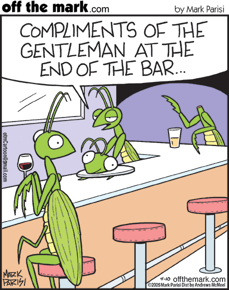OffTheMarkComic's tweet image. After all this time, I think this is my first &quot;from the gentleman at the end of the bar&quot; cartoon