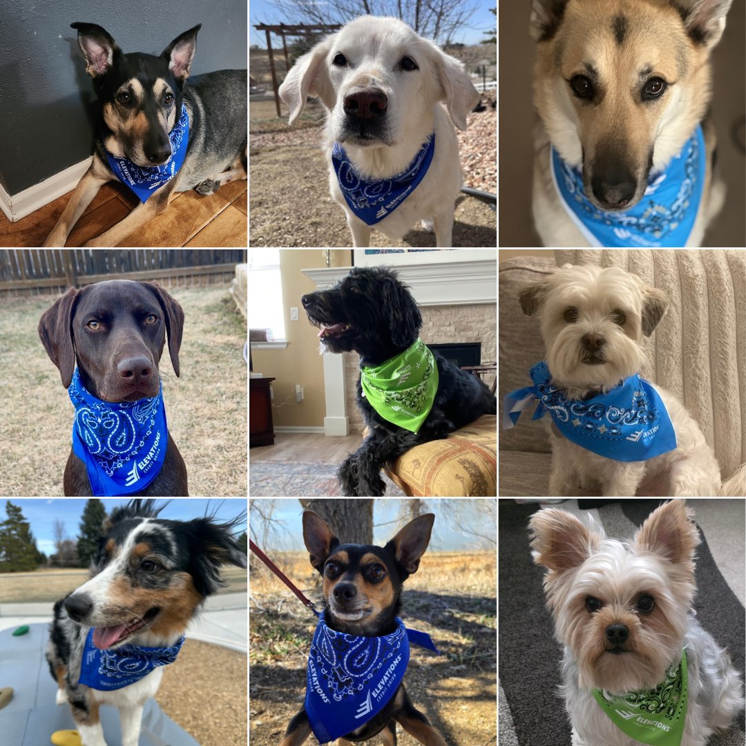 Today is National Hug Your Dog Day! 🐶 
If you don't have a K-9 to cuddle, we are sure one of these Elevations pups would accept a hug. 🐾 

#dogs #coloradodogs