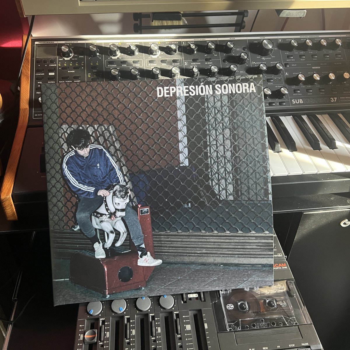 Depresión Sonora tweet media