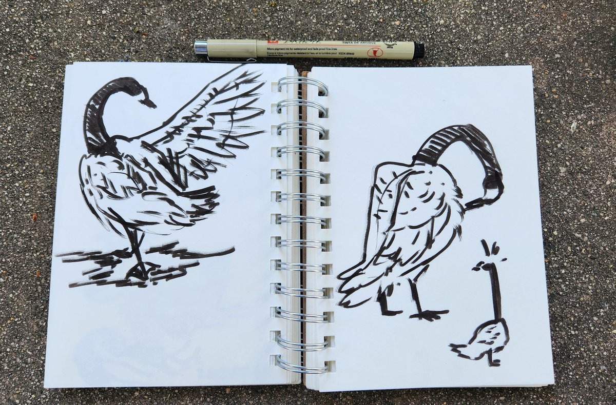 mongrelist's tweet photo. Geese at the park!

I'm a little stretched this as of late and I'm uncertain about my future in a lot of ways, but I will never stop drawing. :) https://t.co/73lIZcgRHW