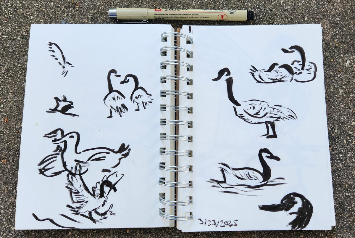 mongrelist's tweet photo. Geese at the park!

I'm a little stretched this as of late and I'm uncertain about my future in a lot of ways, but I will never stop drawing. :) https://t.co/73lIZcgRHW