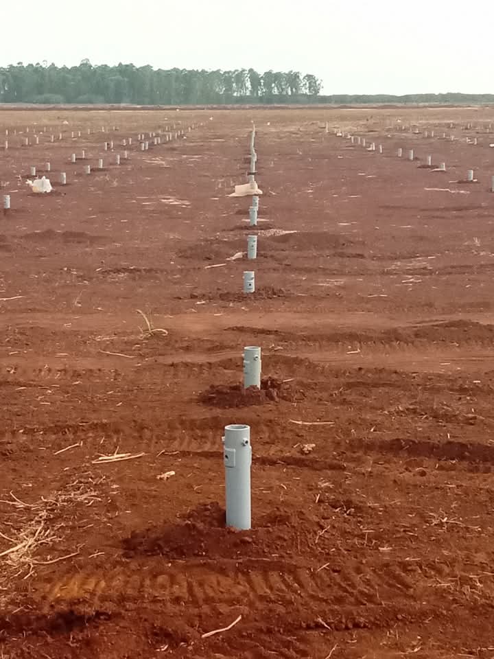 CarlosC64808313's tweet photo. Se avanza en la construcción del Parque Solar Fotovoltaico Colón, el compromiso de sincronizar en el mes de junio es motivación de sus trabajadores.
#MatancerosEnVictoria #PericoEnVictoria #CubaVencera @CaridadPoey @DiazCanelB @mariofsabines @NormaLlerenaPr1 @SuselyMorfaG https://t.co/QPEUesuHI9