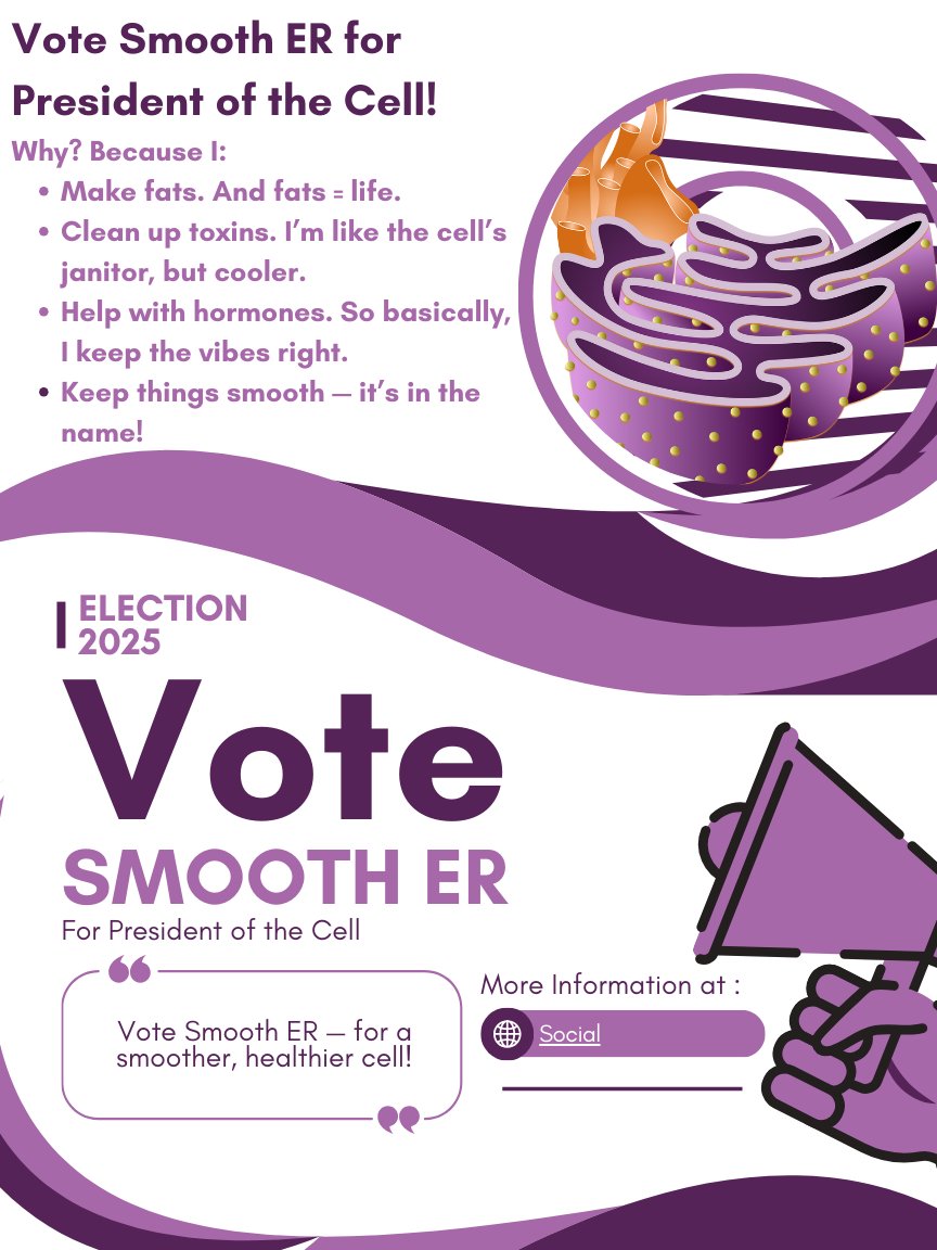 Smooth_er2025's tweet photo. Smooth ER for President! https://t.co/K3X5QLVFSs