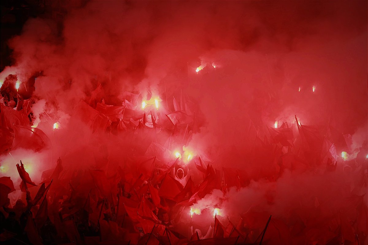 Mateusz Czarnecki tweet media