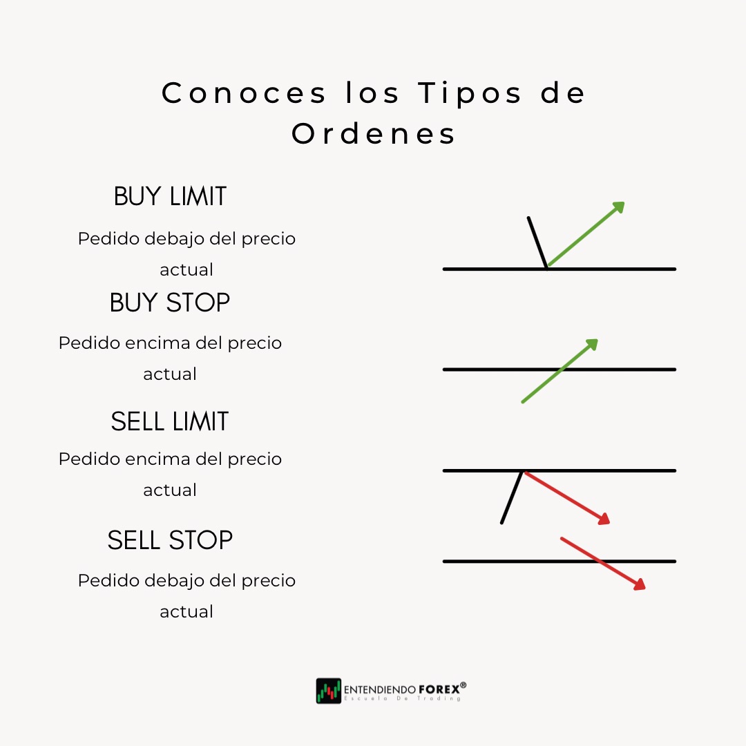 EntendiendoFX's tweet photo. ¿Conoces el tipo de ordenes que existen?

Encuentra más en https://t.co/pNFDVaLCob⁠
⁠
#Forex #FXLife #FX #Mercados #Broker #Trader #ForexLife #Traders https://t.co/xQ2xsst2Jv