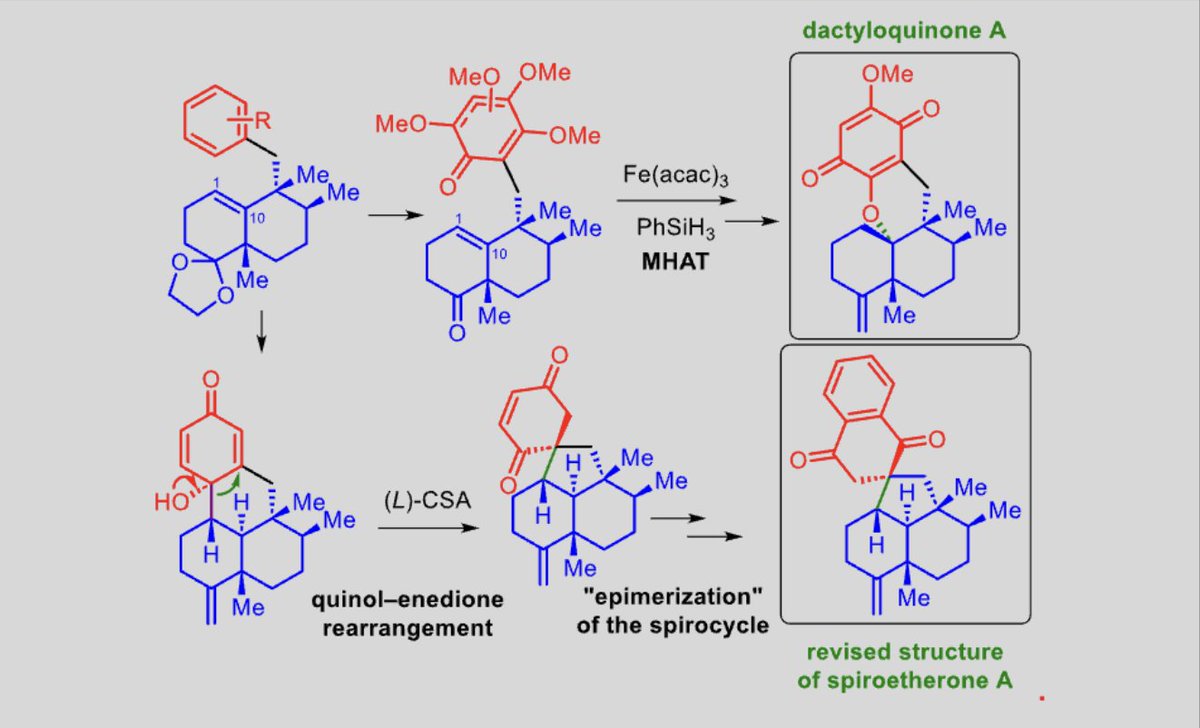 Total Synthesis tweet media