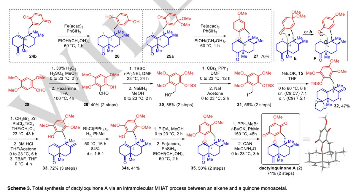 Total Synthesis tweet media