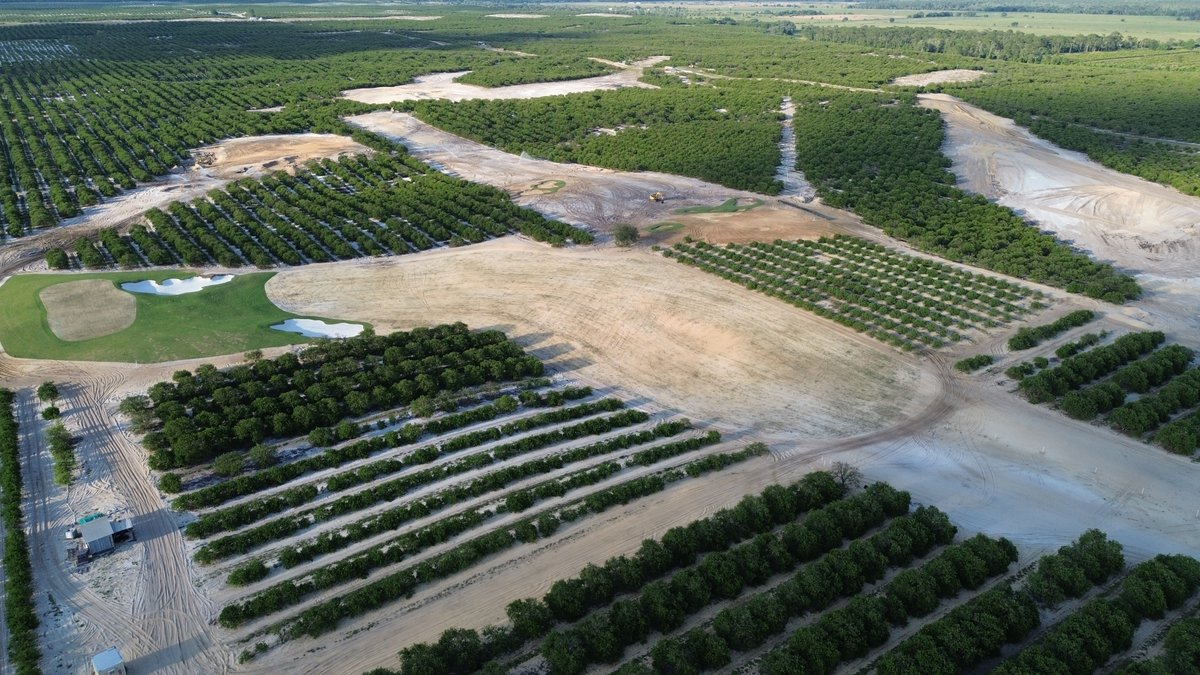 High Grove update: the fruit-productive orange grove will play a big part in the golf environment.  Hole #10 in the foreground, followed by par 3 #11, then #12 plays back around a triangle of citrus trees.  These are all "high holes" on the top of the sand ridge line.