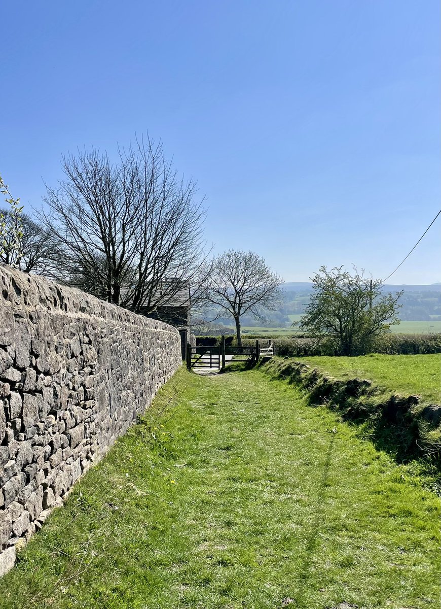 A simple bridleway and wall; the latter was the boundary of the notorious Brindle Workhouse (1735 to 1871) nr. #Chorley in #Lancashire. Photo taken this lunchtime. <a href="/InChorley/">Chorley in Pictures</a> <a href="/cprelancs/">cprelancs</a>