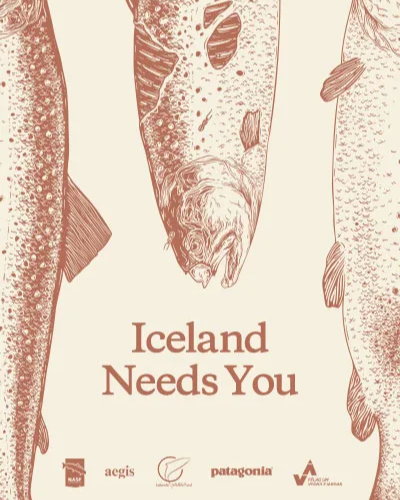 nativves's tweet photo. “An animal welfare disaster.” That’s how experts describe open net salmon farms. 

2025 marks our second year of supporting Patagonia’s Iceland campaign, an activist campaign centred round the use - and hefty cons - of open net salmon farming.

See more @patagoniaeurope https://t.co/0hZzhuGhca