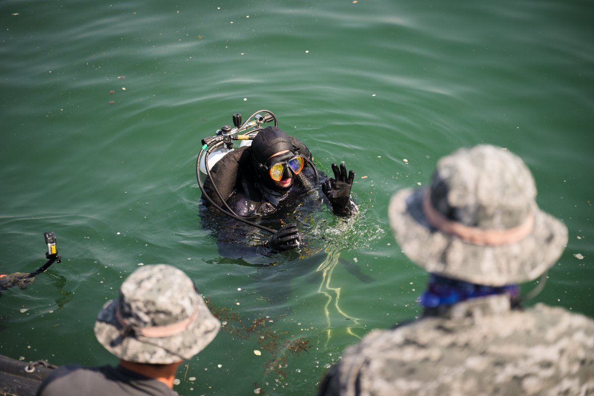 USPacificFleet's tweet photo. ๐คฟ U.S. & ROK divers team up at Jinhae for SALVEX 2025, diving deep into partnership and salvage ops! ๐๐บ๐ธ๐ฐ๐ท #SALVEX #StrongerTogether https://t.co/BqHVeLswUO