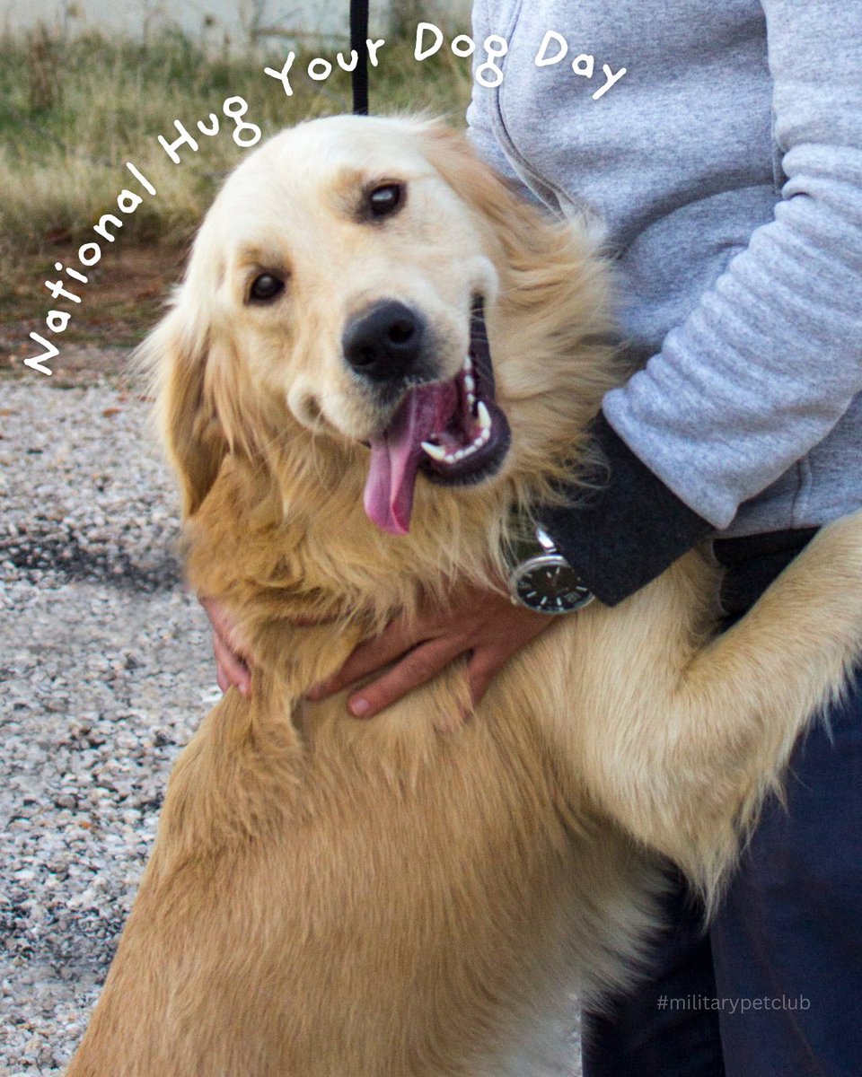mymilitarypets's tweet photo. National Hug Your Dog Day - Big dogs, small dogs, fluffy dogs—every pup deserves an extra squeeze today! 🐕🤗 Show your furry best friend some love with belly rubs, ear scratches, and of course, all the snuggles! 💕🐶
#HugYourDogDay #DogLove https://t.co/oH1NjIaBbo https://t.co/QRDN1em0Lp