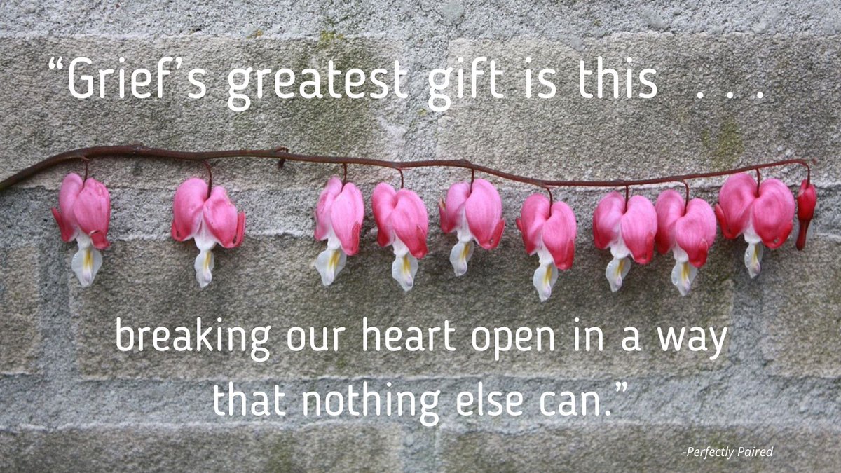BonnyMeyer's tweet photo. Grief opens our hearts, softens our barriers, and reminds us of what it means to love.

https://t.co/mvaw7waR20

#PerfectlyPaired #StorybookRomance #BonnyMeyer #JustinMeyer #BonnyVineyard #ConsciousAwareness #MeyerFamilyCellars #SacredRelationship #Wine #Grief #Love #Life https://t.co/3hw22DDnPi