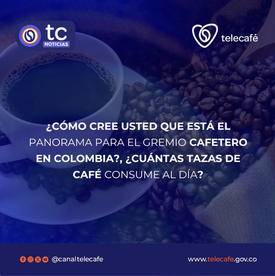 TCNoticiaseje's tweet image. #PreguntaDeLaSemana