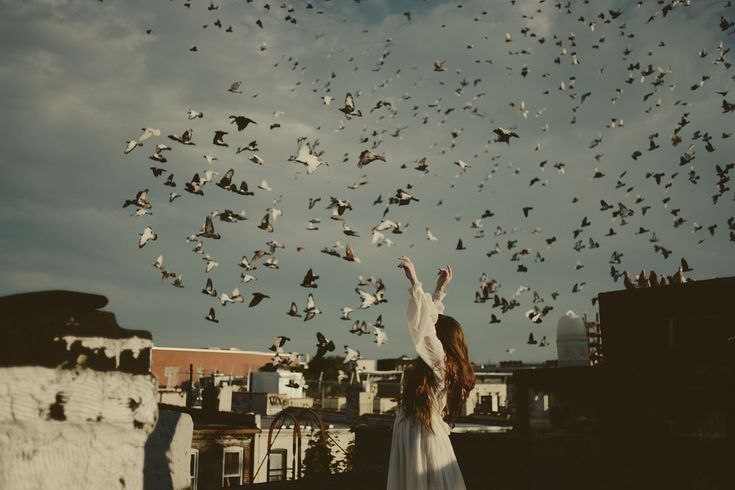 „И така со сонцето и со експлозиите од нови лисја на дрвјата, како што растат работи на забрзани снимки, ме совладуваше една позната мисла дека животот во лето почнува одново.“

~ Ф. Скот Фицџералд, „Големиот Гетсби“, роман објавен #НаДенешенДен во 1925 година