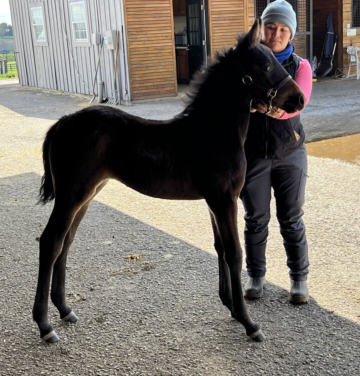 Perry Soderberg tweet media