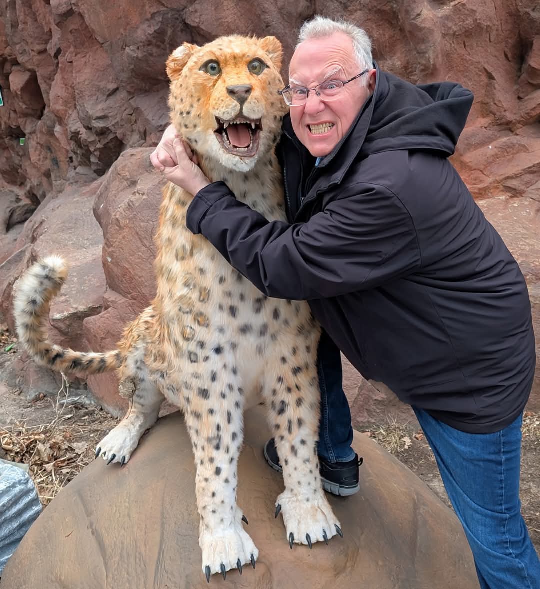 RonHutchison1's tweet photo. He couldn't work and I had to snatch him on the right but I managed to get a match out of him anyway. Because, well you know...F*CK those cheetahs!
Happy #Thursday, gang!
#DaredevilBornAgain #ThursdayFun
#ManVsBeast https://t.co/PRyBpDWKqH